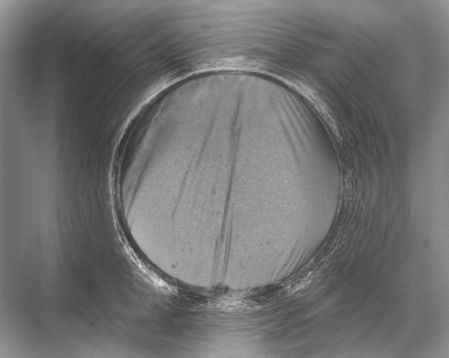 X0000067840998200605041644