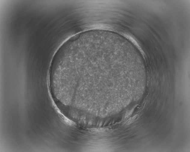 X0000067840999200605041644