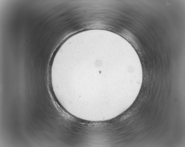 X0000067841000200605041644