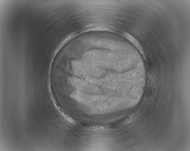 X0000067841002200605041644