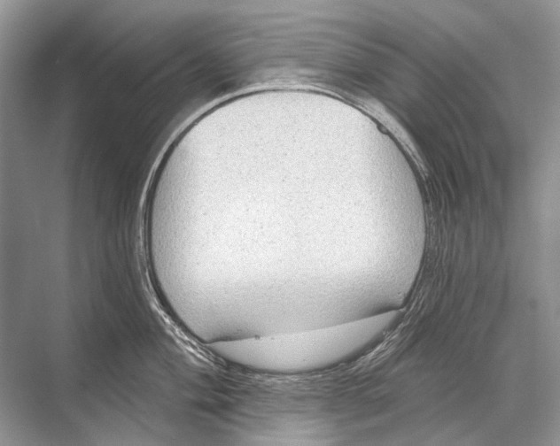 X0000067841004200605041644