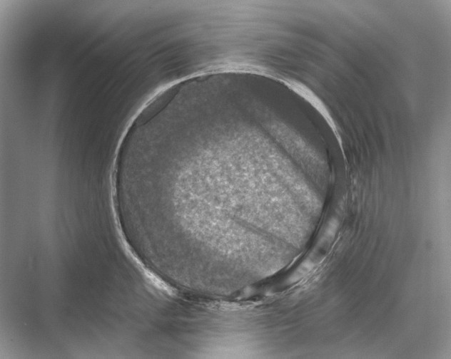 X0000067841005200605041644