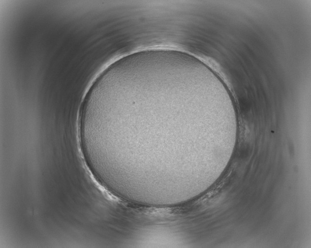 X0000067841006200605041644