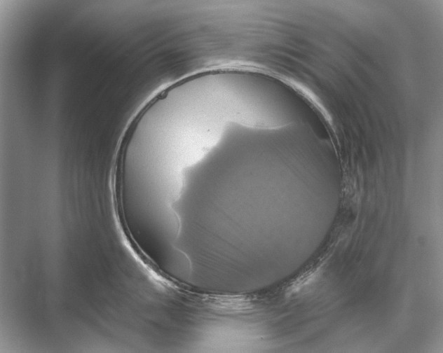 X0000067841007200605041644