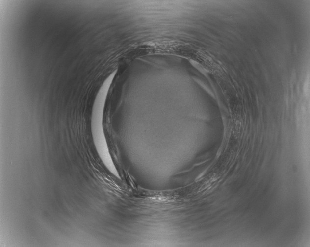 X0000067841010200605041643