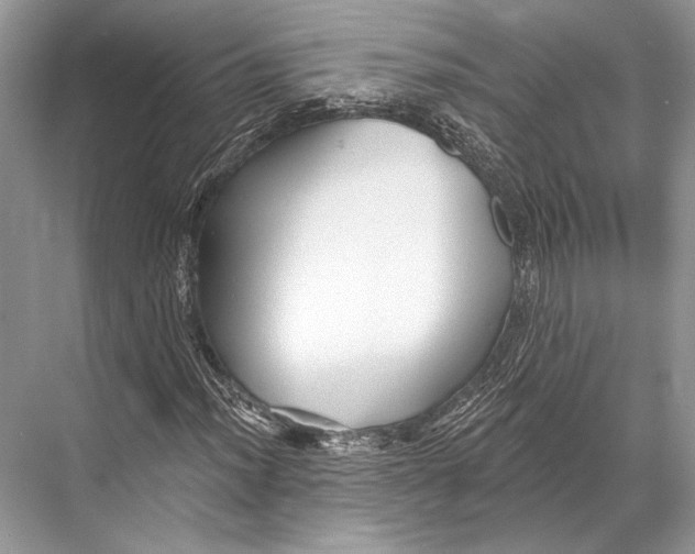 X0000067841012200605041644