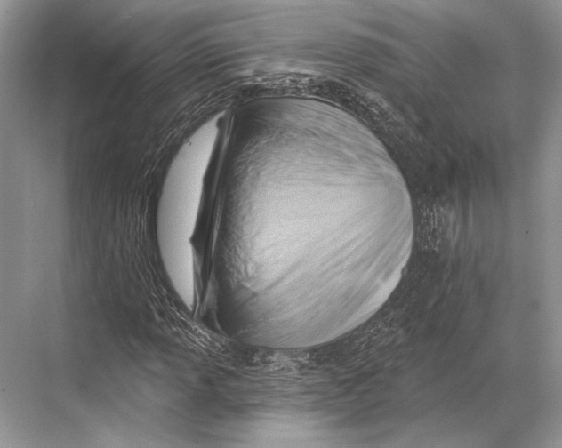 X0000067841013200605041644