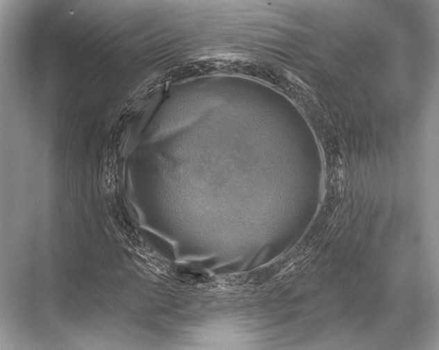 X0000067841014200605041644