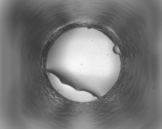 X0000067841016200605041644