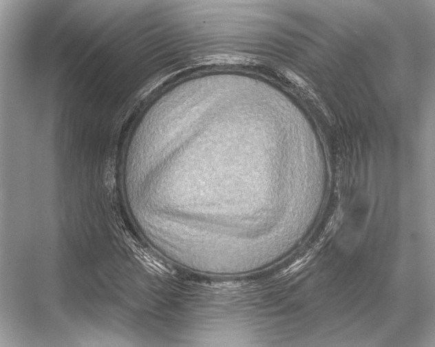 X0000067841017200605041644