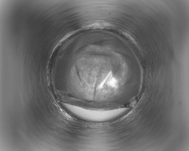 X0000067841018200605041644