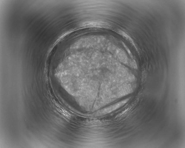 X0000067841019200605041644