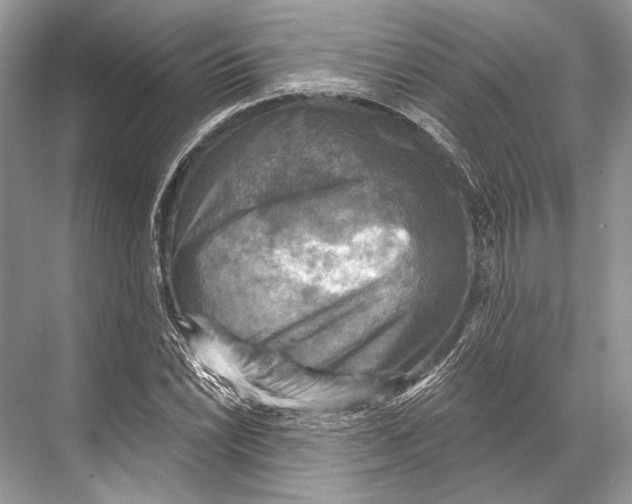 X0000067841022200605041644