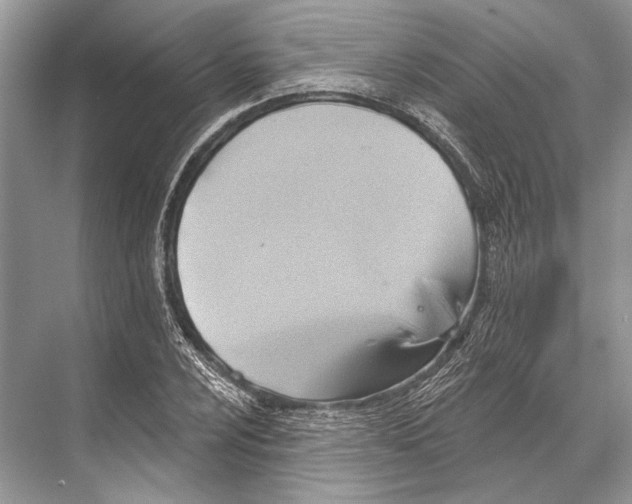 X0000067841024200605041644