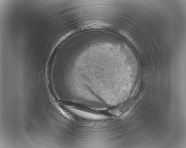 X0000067841026200605041644