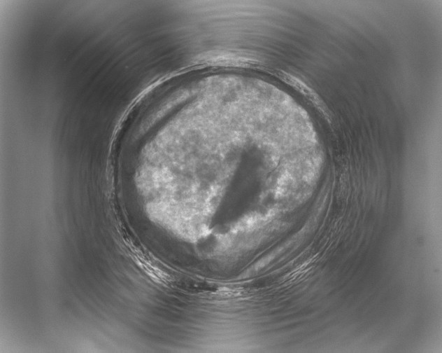 X0000067841027200605041644