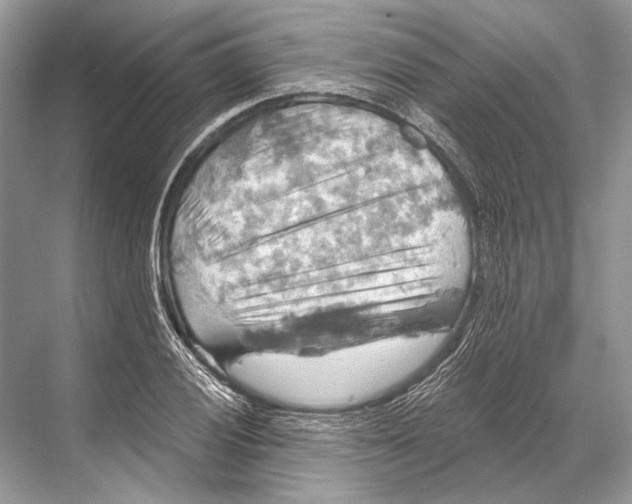 X0000067841028200605041644