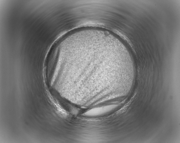 X0000067841029200605041644