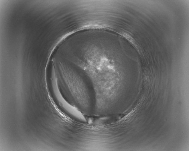 X0000067841030200605041644