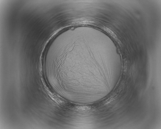 X0000067841031200605041644