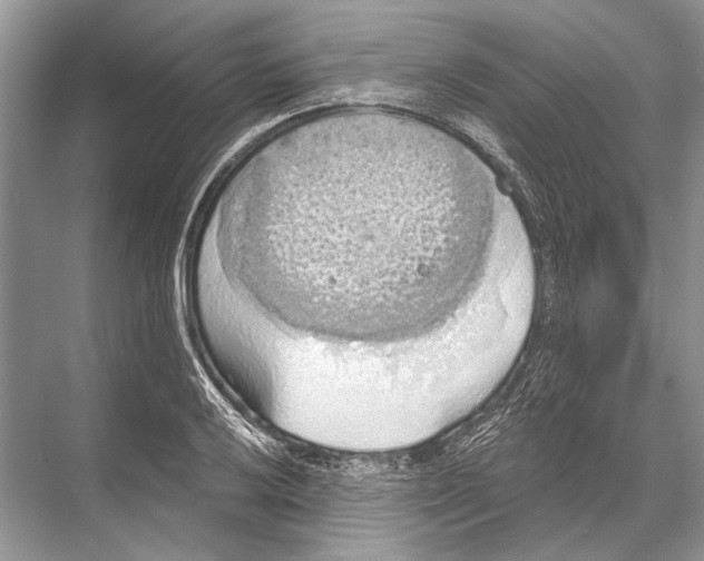 X0000067841032200605041644