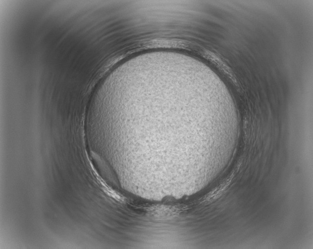 X0000067841033200605041644