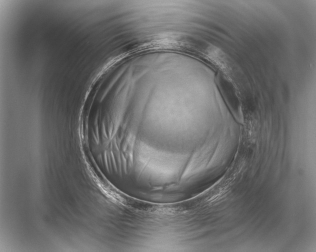 X0000067841034200605041644