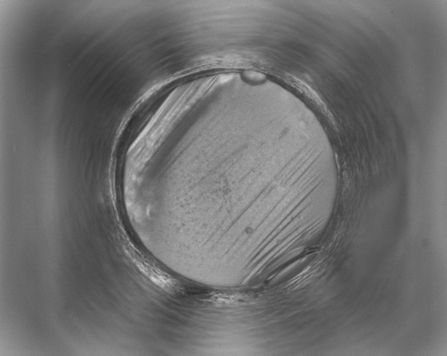 X0000067841035200605041644