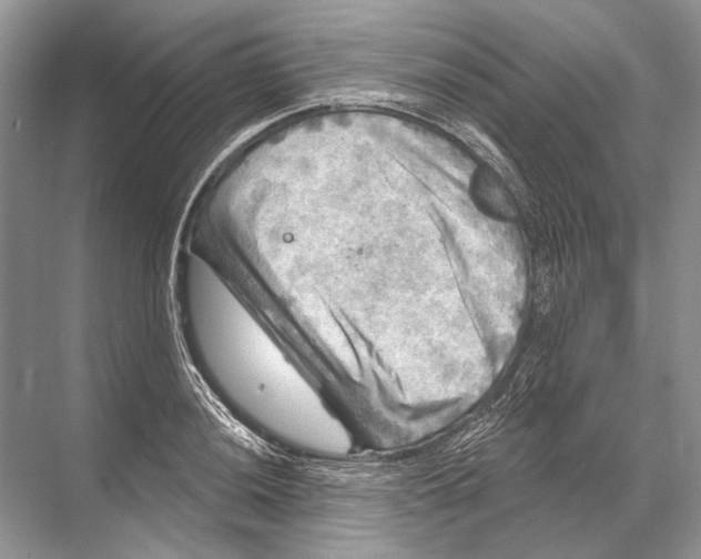 X0000067841036200605041644