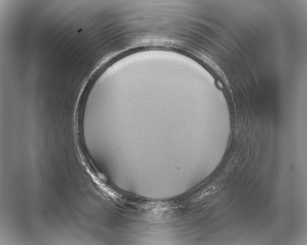 X0000067841037200605041644