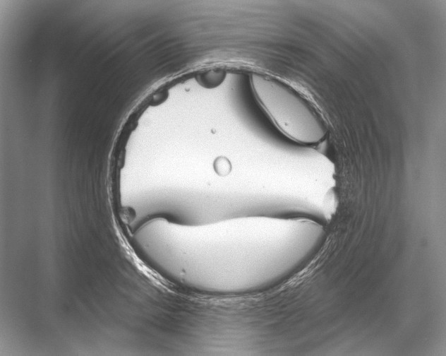 X0000067841038200605041644