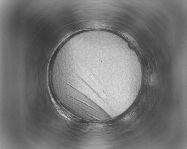 X0000067841039200605041644