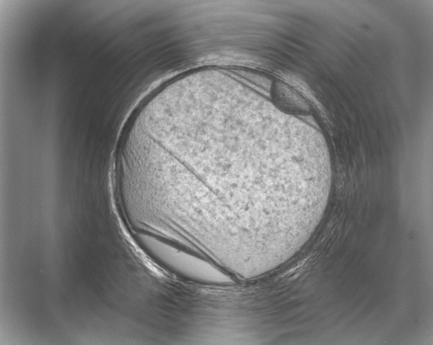 X0000067841040200605041644