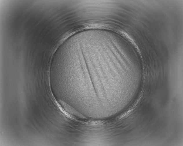 X0000067841041200605041644