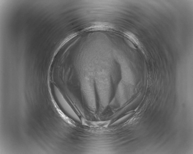 X0000067841042200605041644