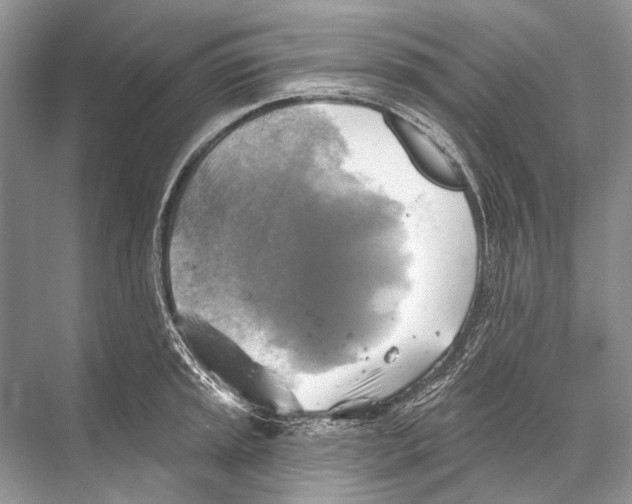 X0000067841045200605041644