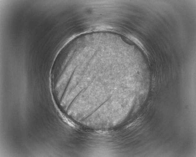 X0000067841047200605041644