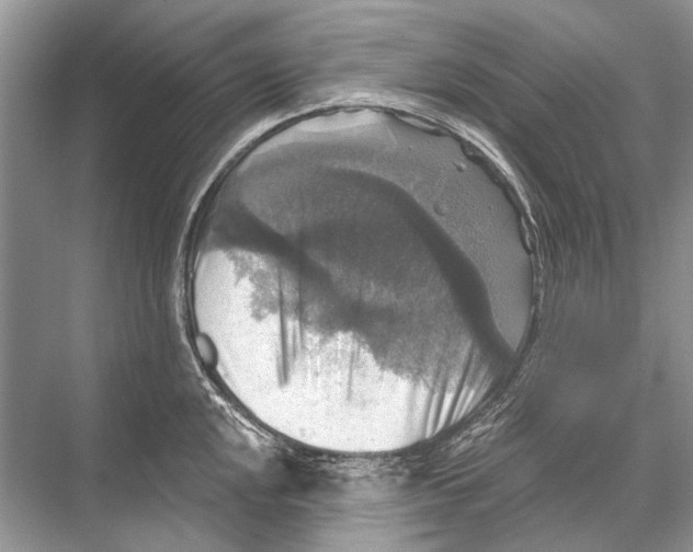 X0000067841048200605041644