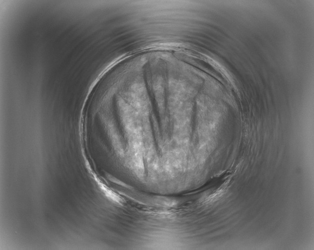 X0000067841050200605041644