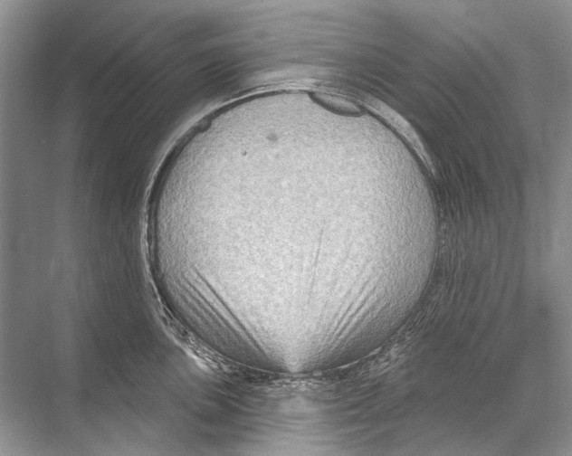 X0000067841051200605041644