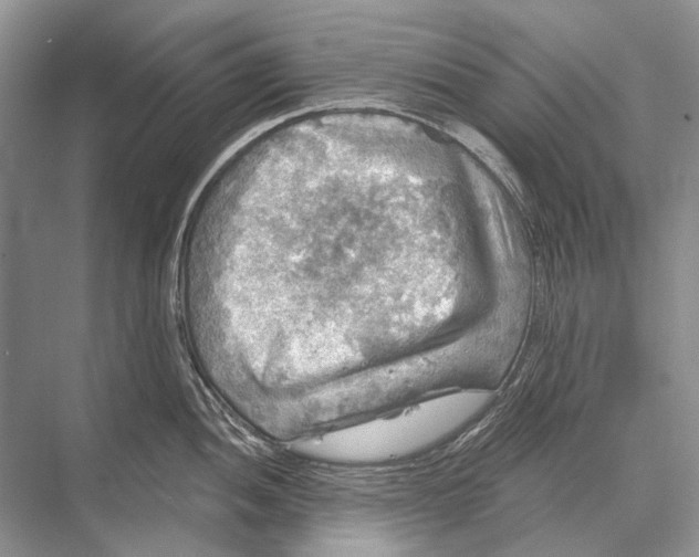 X0000067841052200605041644