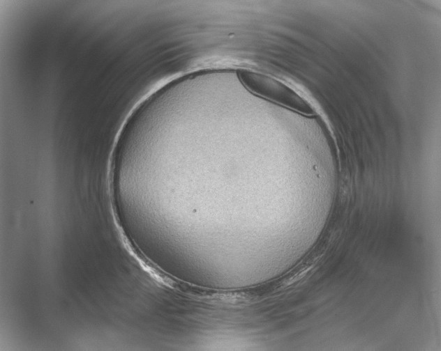 X0000067841053200605041644