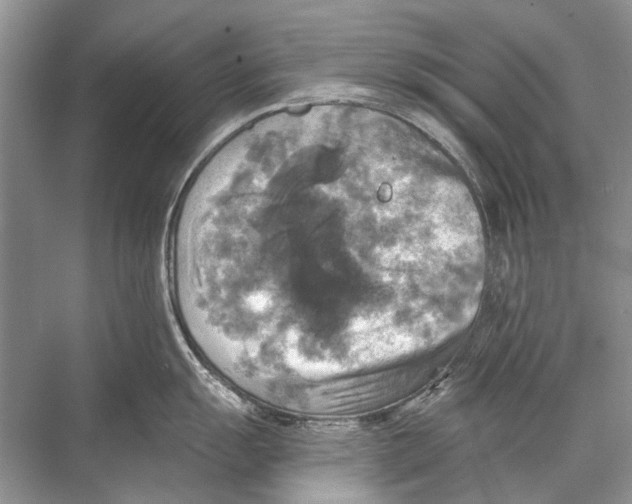 X0000067841055200605041644