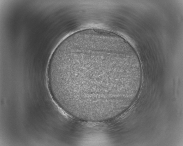 X0000067841056200605041644