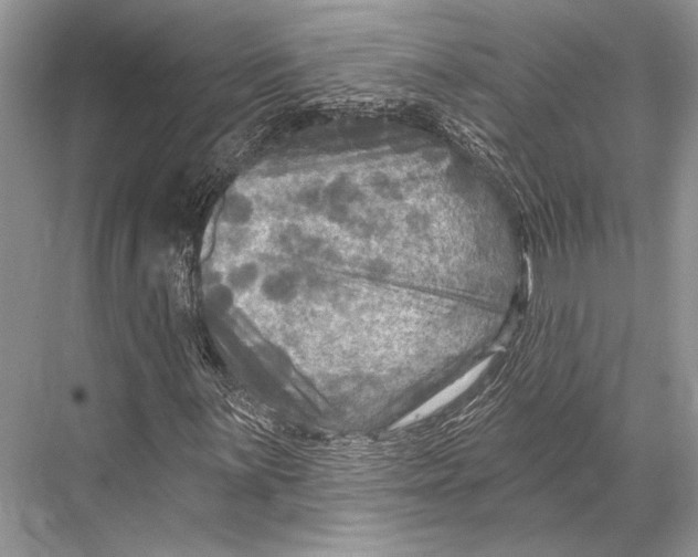 X0000067841059200605041643