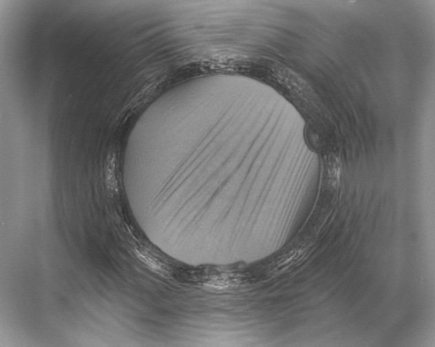 X0000067841060200605041643