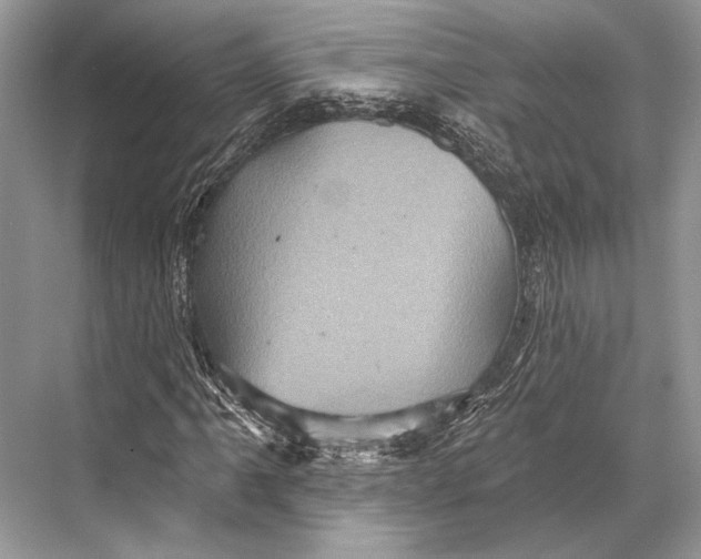 X0000067841061200605041643