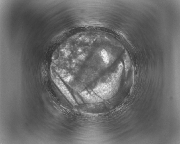 X0000067841063200605041643