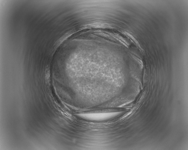 X0000067841065200605041643