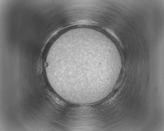 X0000067841067200605041643